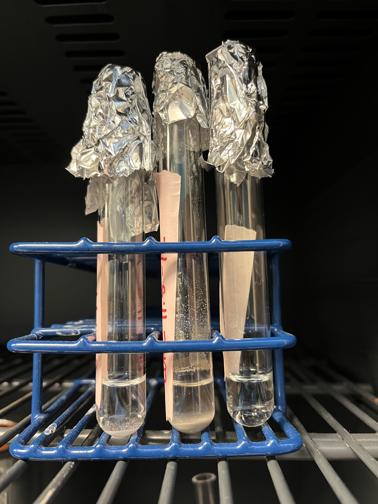 Reaction test tubes